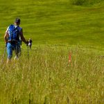 a couple of people walking across a lush green field