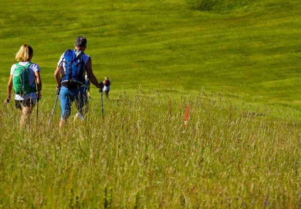 a couple of people walking across a lush green field