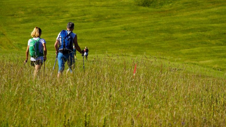 a couple of people walking across a lush green field