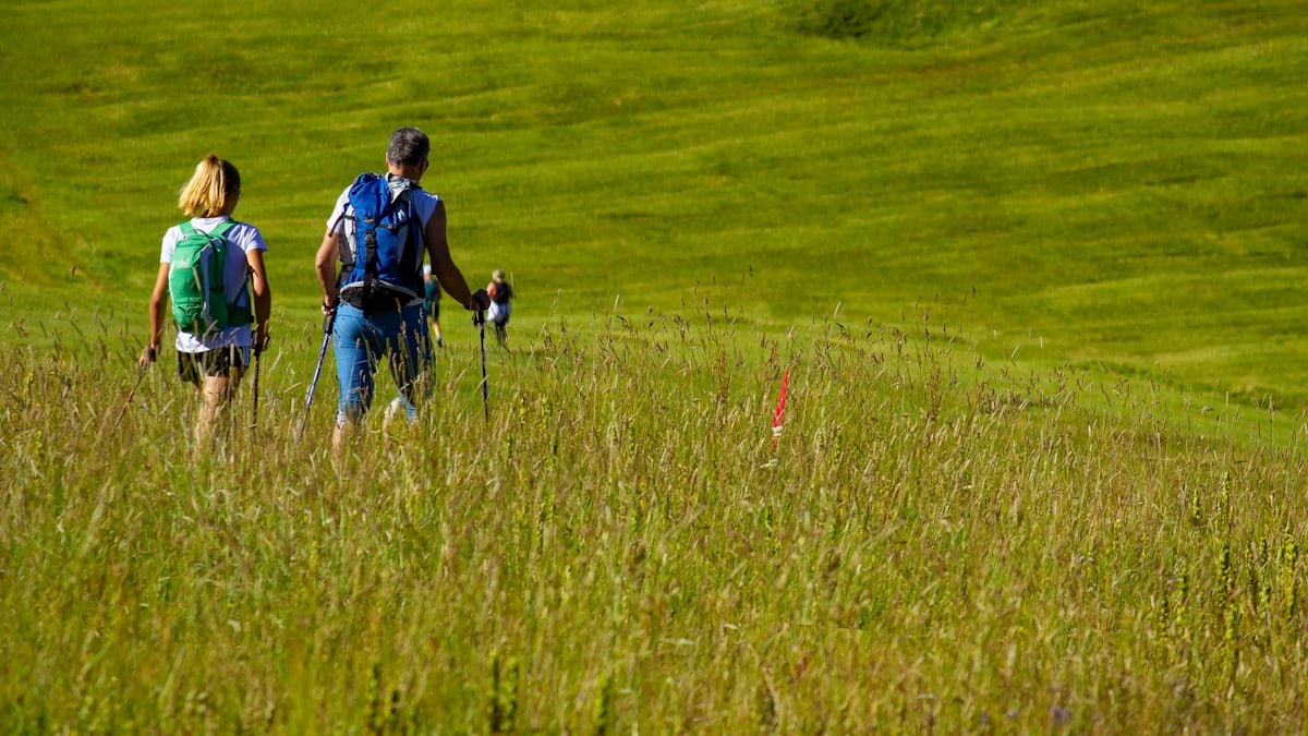 a couple of people walking across a lush green field