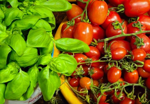 a variety of fruits and vegetables on a table
