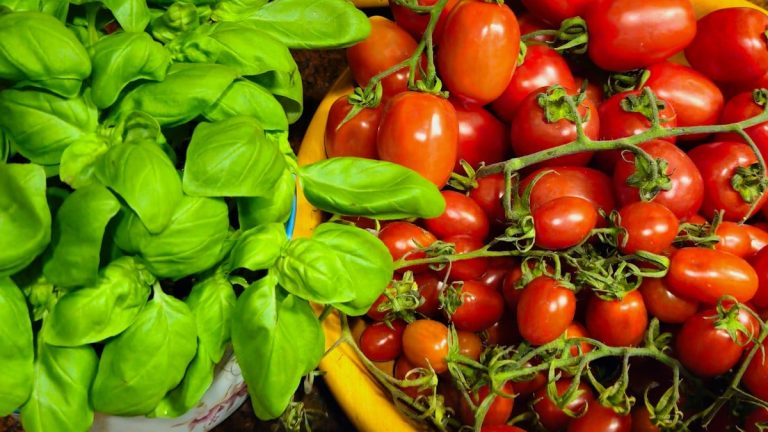 a variety of fruits and vegetables on a table