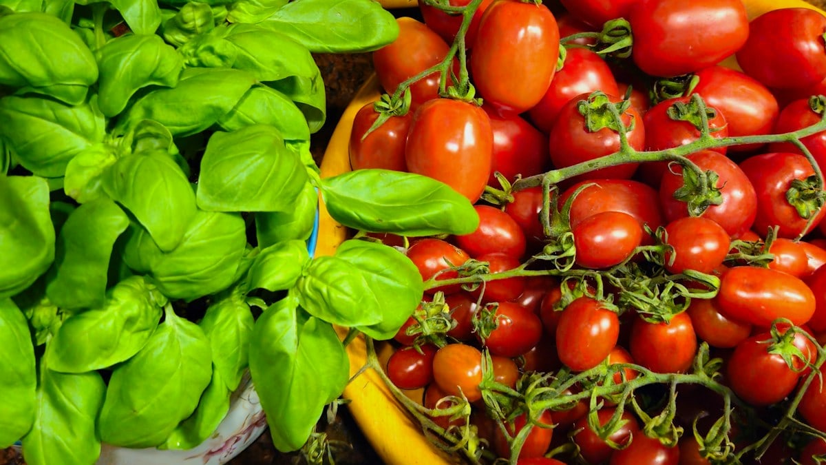 a variety of fruits and vegetables on a table